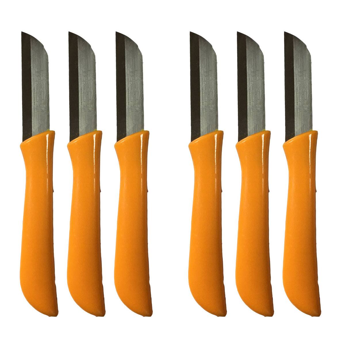 کارد میوه خوری فردینوکس مدل سرآشپز بسته 6 عددیFruit knives of solingen Gremany fardinox