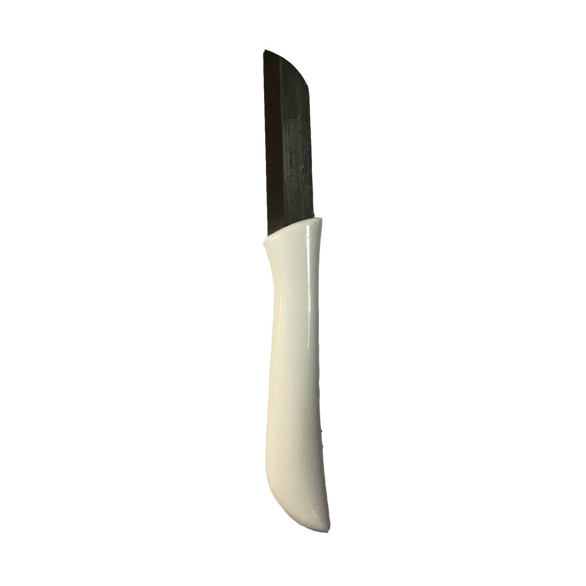 کارد میوه خوری فردینوکس  آلمانی مدل HM-15Fruit knives of solingen Gremany fardinox