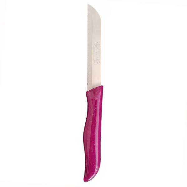 کارد میوه خوری اره ای فردینوکس مدل دو آَشپز Fruit knives of solingen Gremany fardinox 